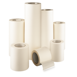 Transportador De Vinilos 2 Anchos