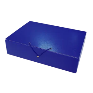 Carpetas de Proyecto con Gancho Azul A4